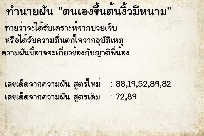 ทำนายฝันตนเองขึ้นต้นงิ้วมีหนาม ทำนายฝันทำนายฝันตนเองขึ้นต้นงิ้วมีหนาม