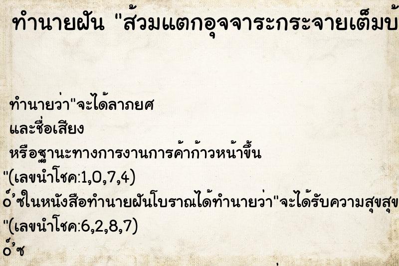 ทำนายฝัน ส้วมแตกอุจจาระกระจายเต็มบ้าน ทำนายฝัน ส้วมแตกอุจจาระกระจายเต็มบ้าน