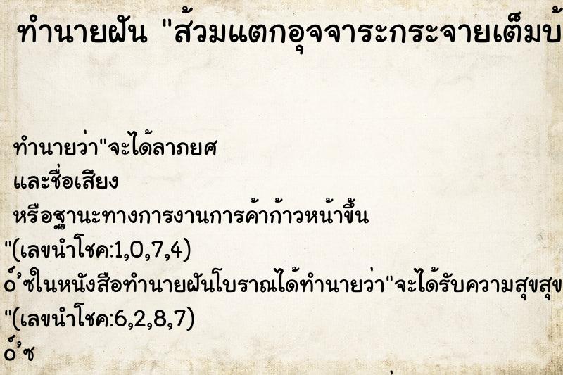 ทำนายฝัน ส้วมแตกอุจจาระกระจายเต็มบ้าน ตำราโบราณ แม่นที่สุดในโลก