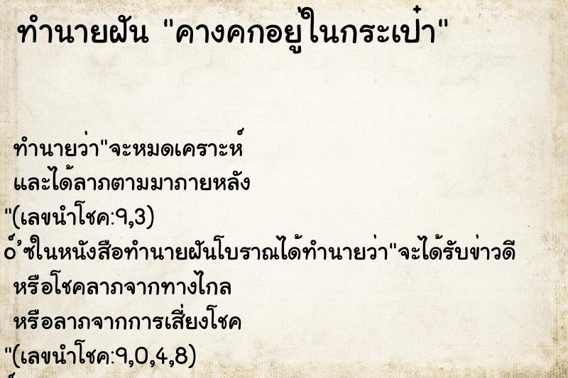 ทำนายฝัน คางคกอยู่ในกระเป๋า