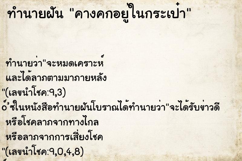 ทำนายฝัน คางคกอยู่ในกระเป๋า ตำราโบราณ แม่นที่สุดในโลก