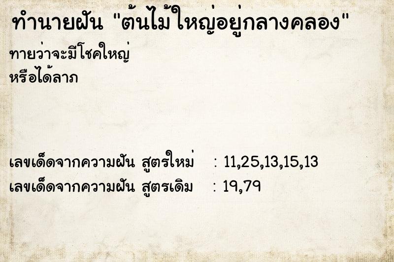 ทำนายฝันทำนายฝันต้นไม้ใหญ่อยู่กลางคลอง