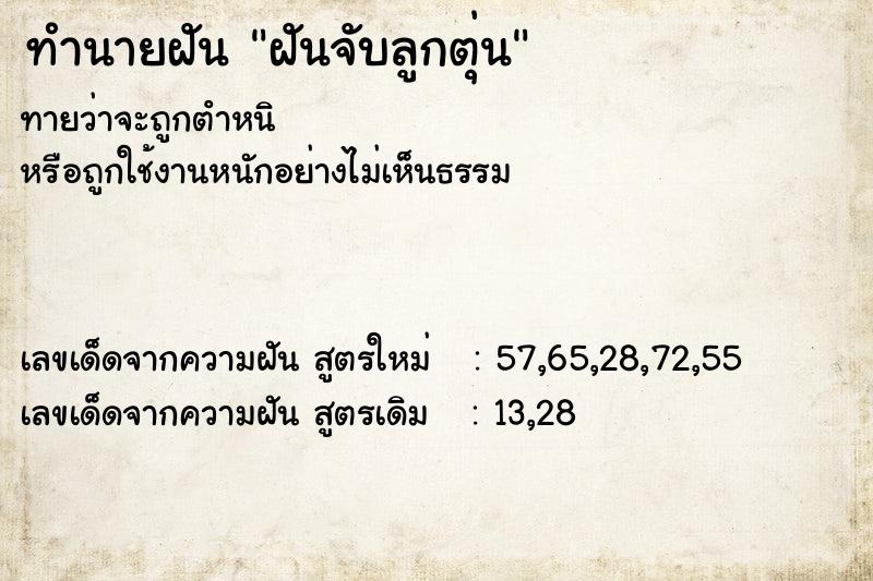 ทำนายฝันทำนายฝันฝันจับลูกตุ่น