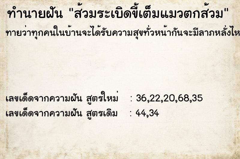 ทำนายฝัน ส้วมระเบิดขี้เต็มแมวตกส้วม ทำนายฝัน ส้วมระเบิดขี้เต็มแมวตกส้วม