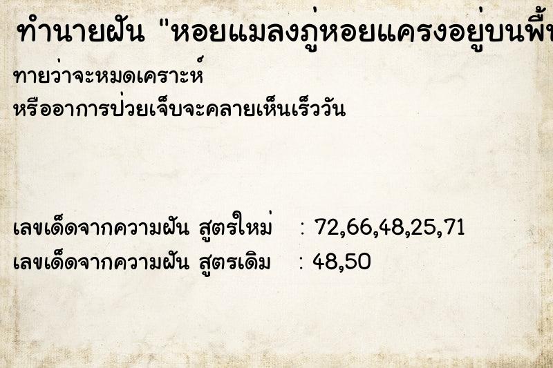 ทำนายฝัน หอยแมลงภู่หอยแครงอยู่บนพื้นที่บ้าน