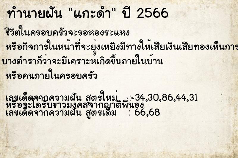 ทำนายฝันแกะดำ ทำนายฝันทำนายฝันแกะดำ