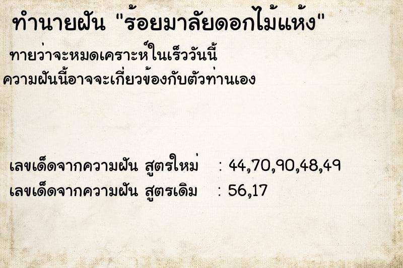 ทำนายฝันร้อยมาลัยดอกไม้แห้ง ทำนายฝันทำนายฝันร้อยมาลัยดอกไม้แห้ง
