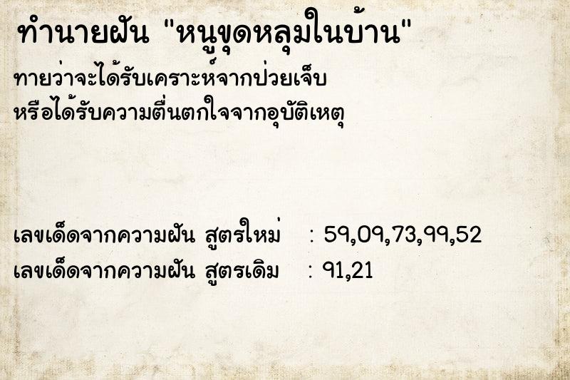 ทำนายฝันทำนายฝันหนูขุดหลุมในบ้าน