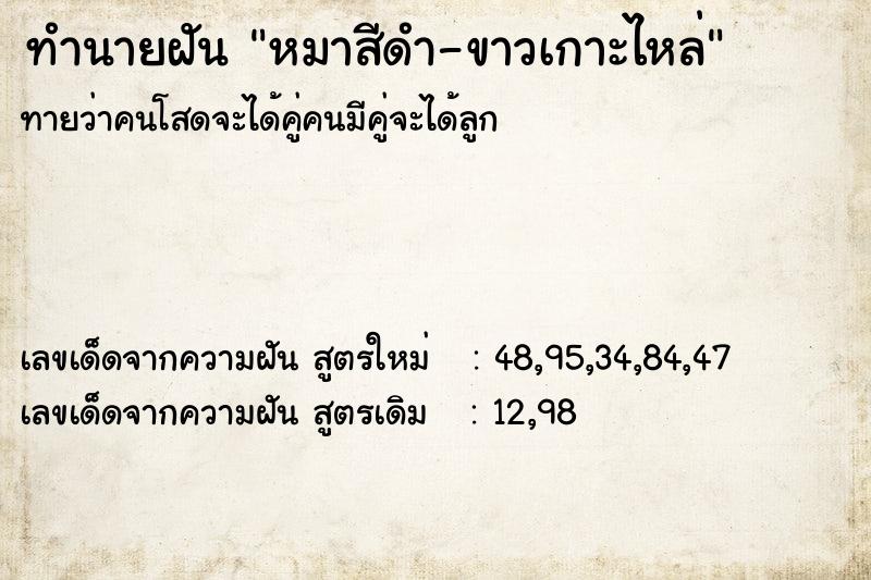 ทำนายฝันทำนายฝันหมาสีดำ-ขาวเกาะไหล่