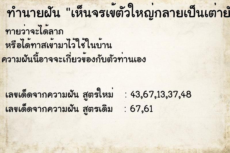 ทำนายฝันทำนายฝันเห็นจรเข้ตัวใหญ่กลายเป็นเต่ายักษื
