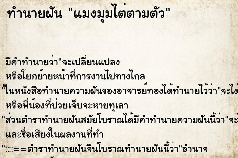 ทำนายฝัน แมงมุมไต่ตามตัว ทำนายฝัน แมงมุมไต่ตามตัว