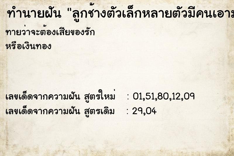 ทำนายฝันลูกช้างตัวเล็กหลายตัวมีคนเอามาขายให้ ทำนายฝันทำนายฝันลูกช้างตัวเล็กหลายตัวมีคนเอามาขายให้