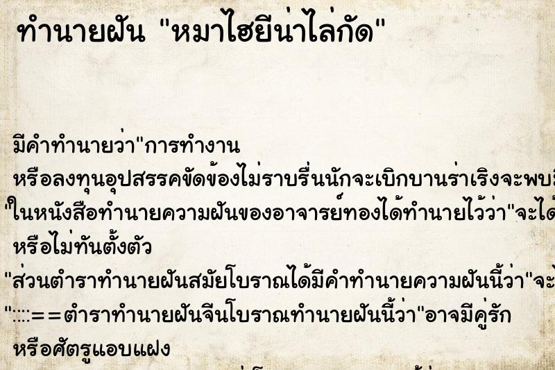 ทำนายฝัน หมาไฮยีน่าไล่กัด ทำนายฝัน หมาไฮยีน่าไล่กัด