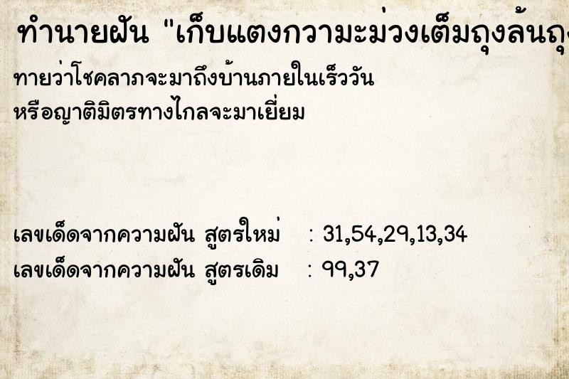 ทำนายฝันทำนายฝันเก็บแตงกวามะม่วงเต็มถุงล้นถุง