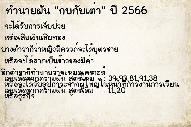 ทำนายฝัน กบกับเต่า ทำนายฝัน กบกับเต่า