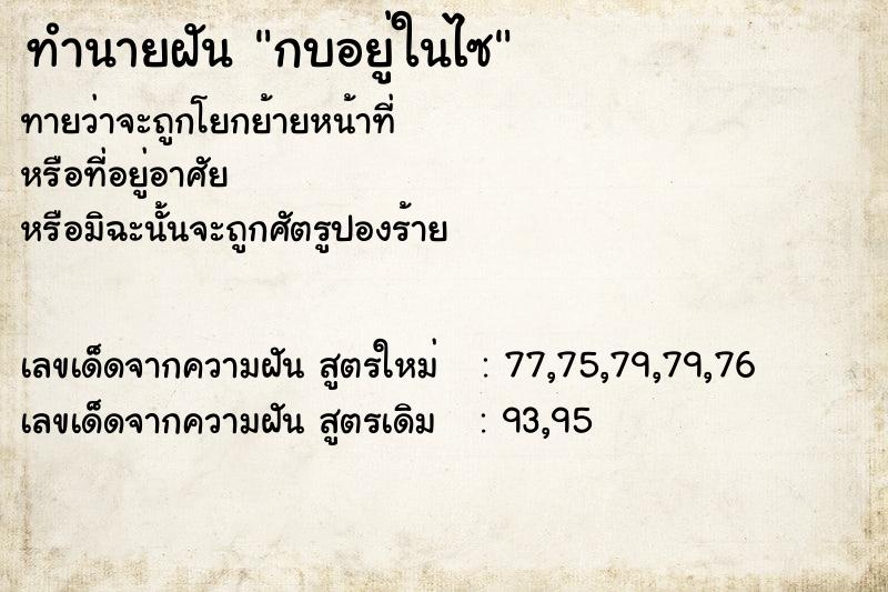 ทำนายฝันทำนายฝันกบอยู่ในไซ