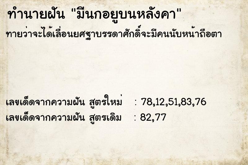 ทำนายฝันมีนกอยูบนหลังคา ทำนายฝันทำนายฝันมีนกอยูบนหลังคา