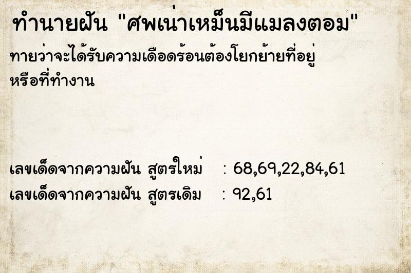 ทำนายฝันศพเน่าเหม็นมีแมลงตอม ทำนายฝันทำนายฝันศพเน่าเหม็นมีแมลงตอม