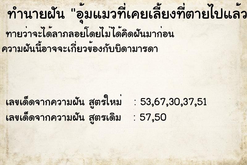 ทำนายฝัน อุ้มแมวที่เคยเลี้ยงที่ตายไปแล้ว ทำนายฝัน อุ้มแมวที่เคยเลี้ยงที่ตายไปแล้ว
