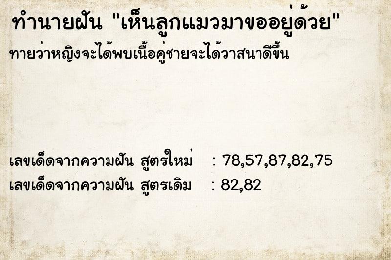 ทำนายฝัน เห็นลูกแมวมาขออยู่ด้วย ทำนายฝัน เห็นลูกแมวมาขออยู่ด้วย