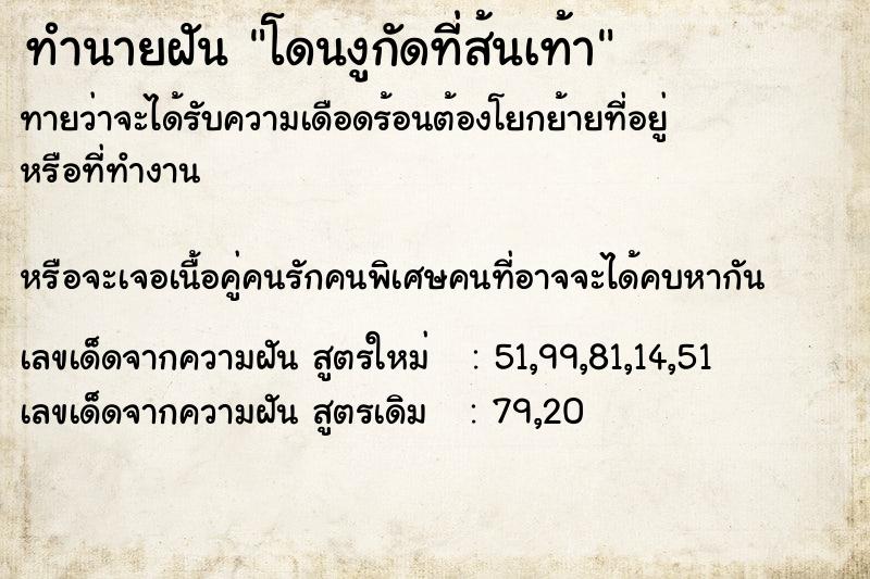 ทำนายฝันทำนายฝันโดนงูกัดที่ส้นเท้า