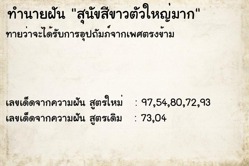 ทำนายฝันทำนายฝันสุนัขสีขาวตัวใหญ่มาก