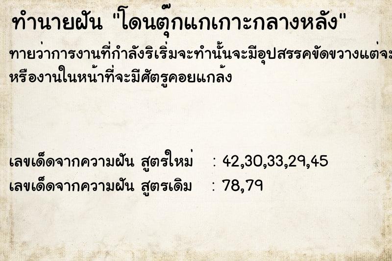 ทำนายฝันทำนายฝันโดนตุ๊กแกเกาะกลางหลัง