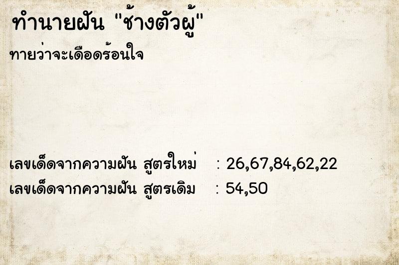 ทำนายฝันทำนายฝันช้างตัวผู้