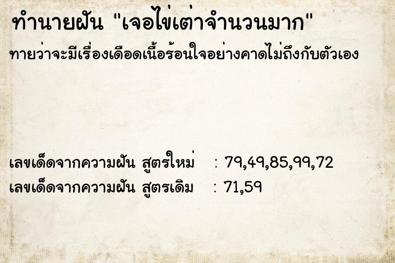 ทำนายฝันทำนายฝันเจอไข่เต่าจำนวนมาก