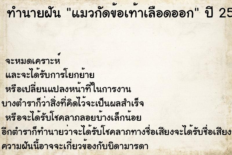 ทำนายฝันทำนายฝันแมวกัดข้อเท้าเลือดออก