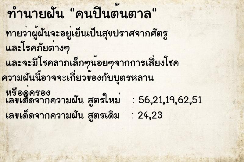 ทำนายฝัน คนปีนต้นตาล ทำนายฝัน คนปีนต้นตาล
