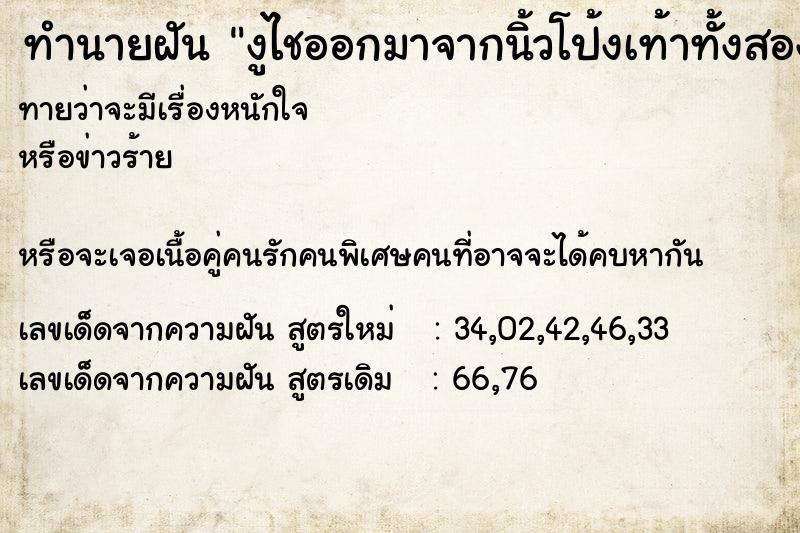 ทำนายฝันงูไชออกมาจากนิ้วโป้งเท้าทั้งสองข้าง ทำนายฝันทำนายฝันงูไชออกมาจากนิ้วโป้งเท้าทั้งสองข้าง