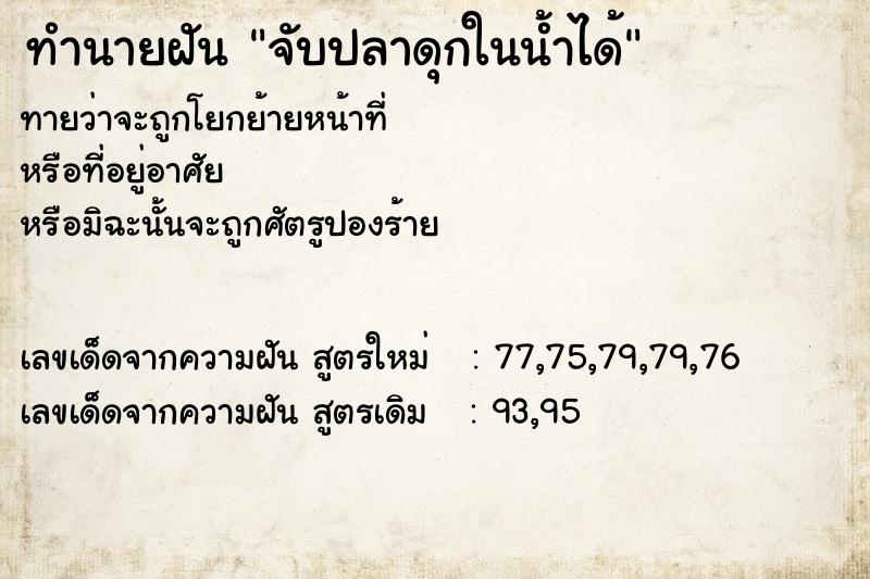 ทำนายฝันจับปลาดุกในน้ำได้ ทำนายฝันทำนายฝันจับปลาดุกในน้ำได้