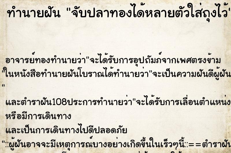 ทำนายฝัน จับปลาทองได้หลายตัวใส่ถุงไว้ ทำนายฝัน จับปลาทองได้หลายตัวใส่ถุงไว้