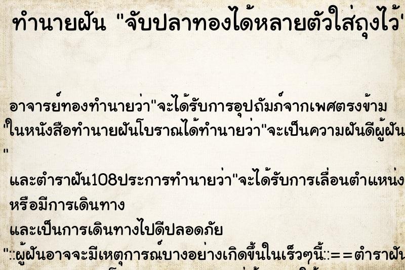 ทำนายฝัน จับปลาทองได้หลายตัวใส่ถุงไว้ ตำราโบราณ แม่นที่สุดในโลก