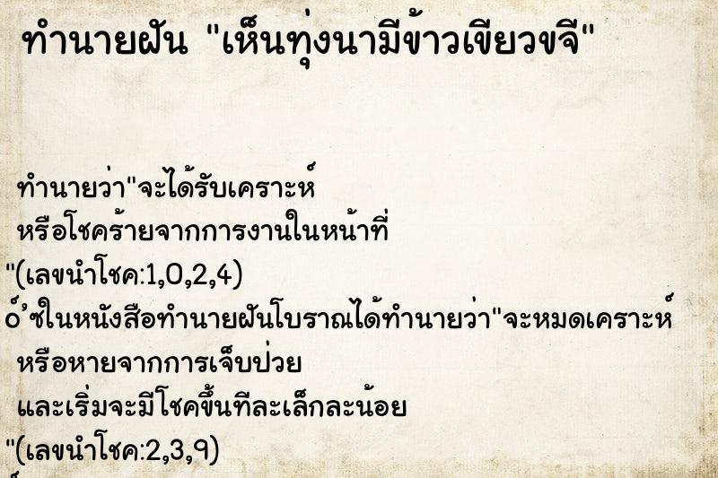 ทำนายฝัน เห็นทุ่งนามีข้าวเขียวขจี