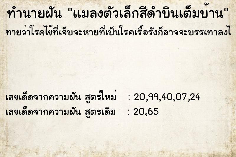 ทำนายฝันแมลงตัวเล็กสีดำบินเต็มบ้าน ทำนายฝันทำนายฝันแมลงตัวเล็กสีดำบินเต็มบ้าน