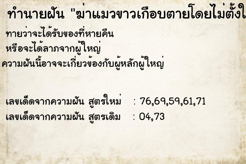 ทำนายฝัน ฆ่าแมวขาวเกือบตายโดยไม่ตั้งใจ ทำนายฝัน ฆ่าแมวขาวเกือบตายโดยไม่ตั้งใจ