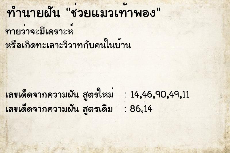 ทำนายฝันช่วยแมวเท้าพอง ทำนายฝันทำนายฝันช่วยแมวเท้าพอง