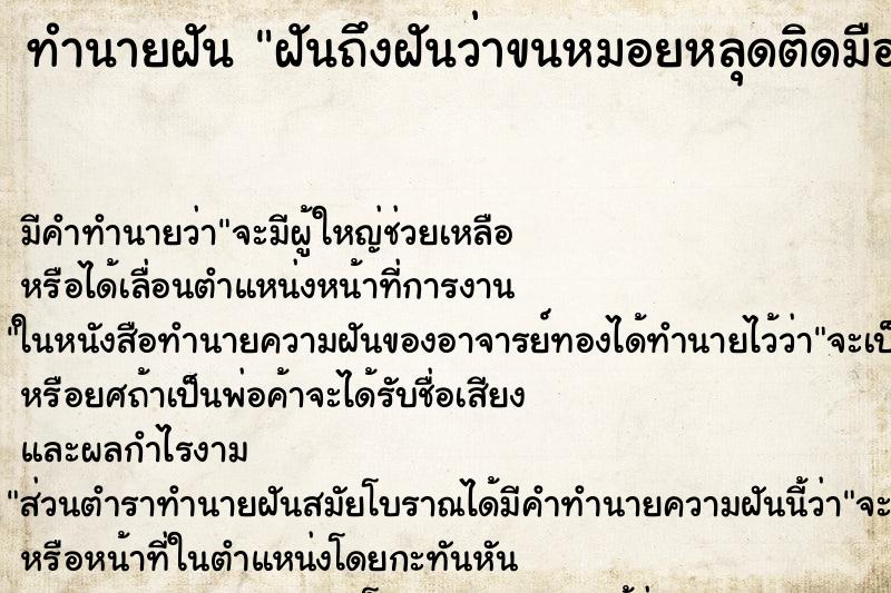 ทำนายฝัน ฝันถึงฝันว่าขนหมอยหลุดติดมือตัวเองเยอะมาก ทำนายฝัน ฝันถึงฝันว่าขนหมอยหลุดติดมือตัวเองเยอะมาก