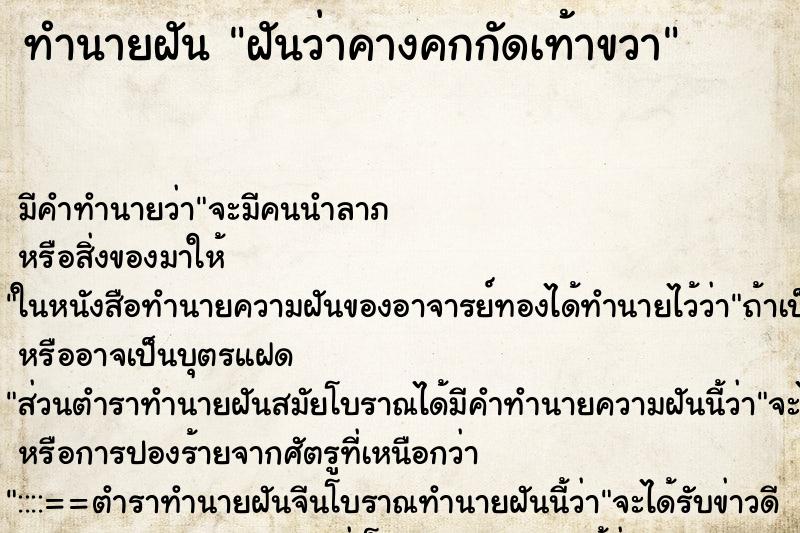 ทำนายฝัน ฝันว่าคางคกกัดเท้าขวา ทำนายฝัน ฝันว่าคางคกกัดเท้าขวา