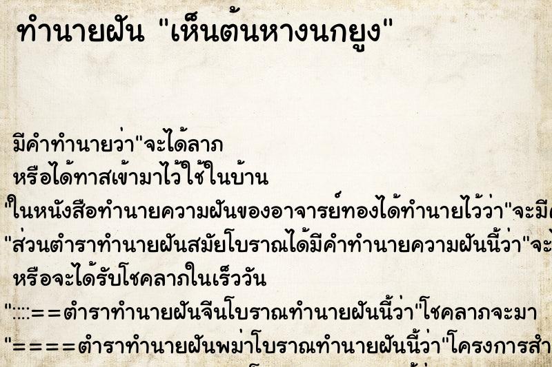 ทำนายฝัน เห็นต้นหางนกยูง ตำราโบราณ แม่นที่สุดในโลก