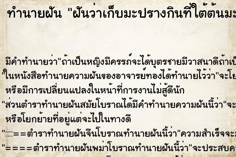 ทำนายฝันทำนายฝันฝันว่าเก็บมะปรางกินที่ใต้ต้นมะปราง