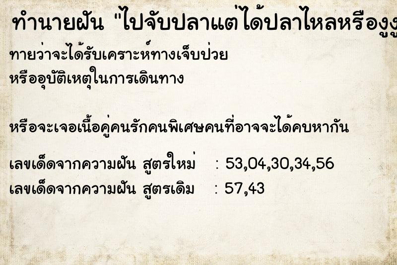 ทำนายฝันทำนายฝันไปจับปลาแต่ได้ปลาไหลหรืองูงู