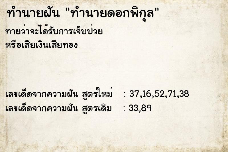 ทำนายฝันทำนายดอกพิกุล ทำนายฝันทำนายฝันทำนายดอกพิกุล