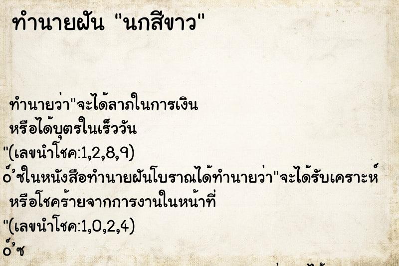 ทำนายฝัน นกสีขาว ทำนายฝัน นกสีขาว
