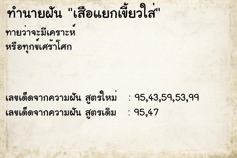 ทำนายฝันเสือแยกเขี้ยวใส่ ทำนายฝันทำนายฝันเสือแยกเขี้ยวใส่