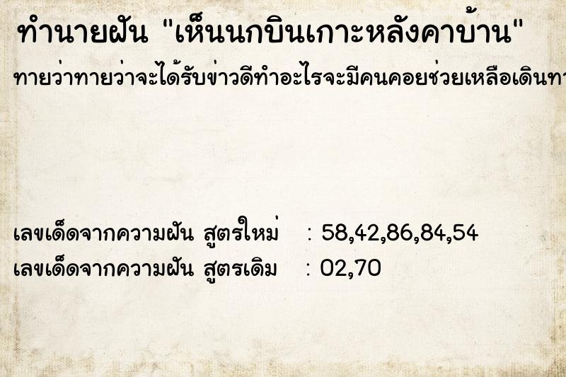 ทำนายฝันทำนายฝันเห็นนกบินเกาะหลังคาบ้าน