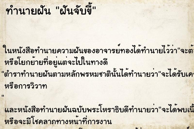 ทำนายฝัน ฝันจับขี้