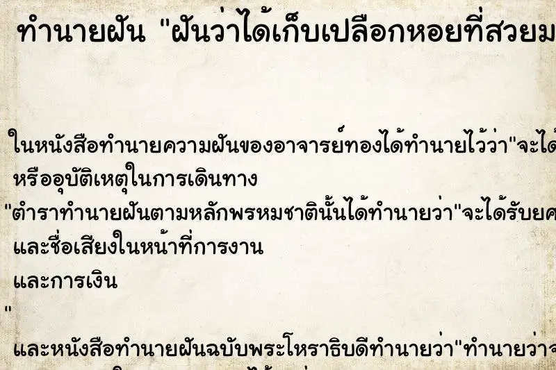ทำนายฝัน ฝันว่าได้เก็บเปลือกหอยที่สวยมากๆ
